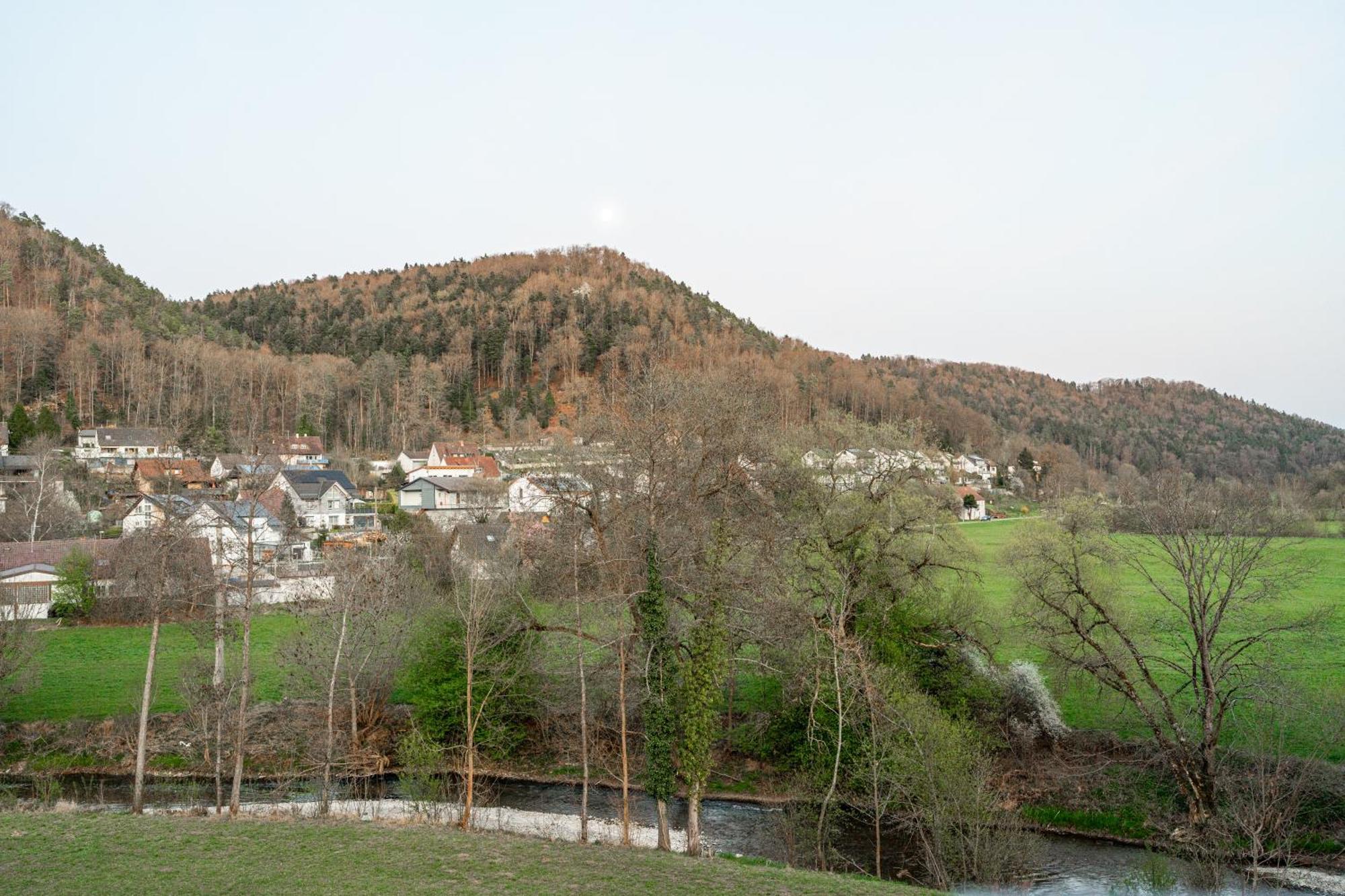 Bps #7 Luxury Penthouse Appartement Horb am Neckar
